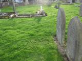 image of grave number 854097